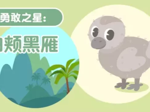 超萌动物园 新奇动物大派对 6集