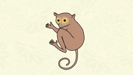 库米的动画绘本 第二季 50集