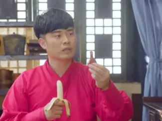 极品家丁 19集