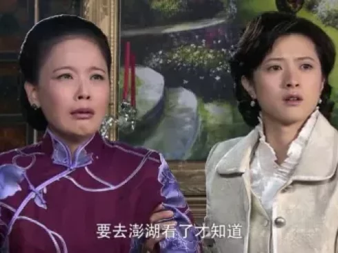 天涯赤子心 4集