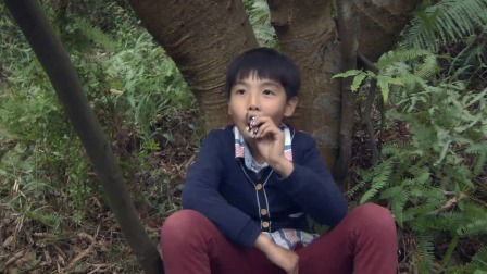 生存密码 13集