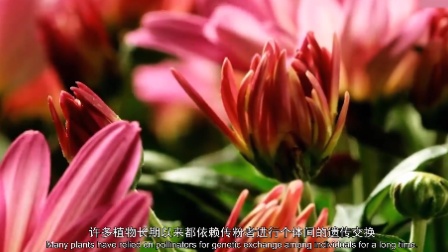 少年的第一堂自然课 22集