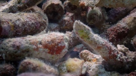 超级镜头：海面之下 6集