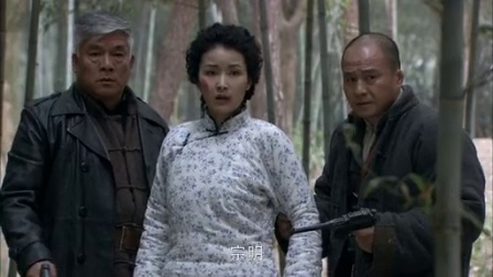 狼烟遍地 29集